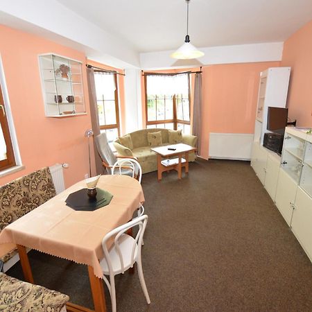 Snug Apartment In Jachymov Near Ski Area Екстериор снимка